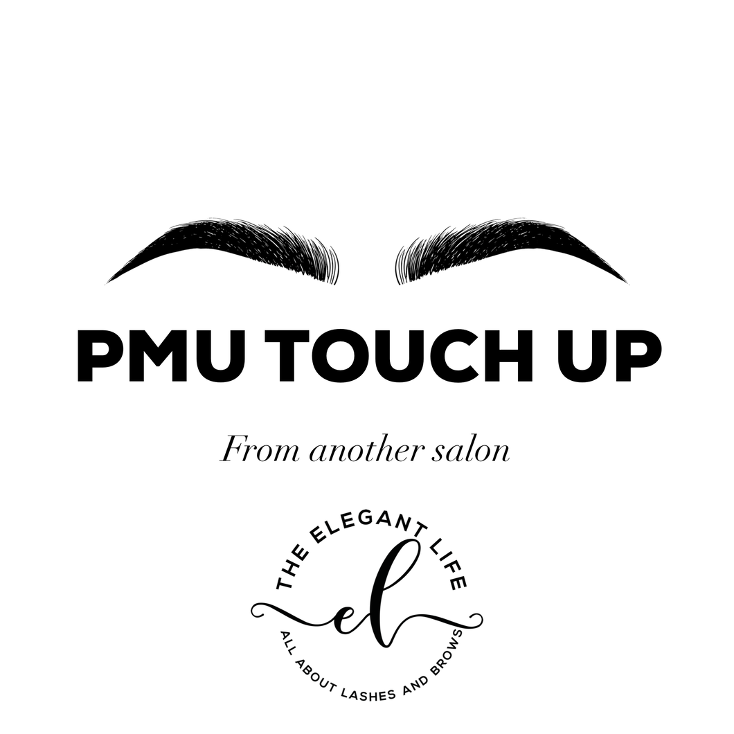 TOUCH UP - PMU from another salon